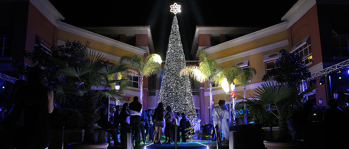 Arbol dio la bienvenida a la Navidad